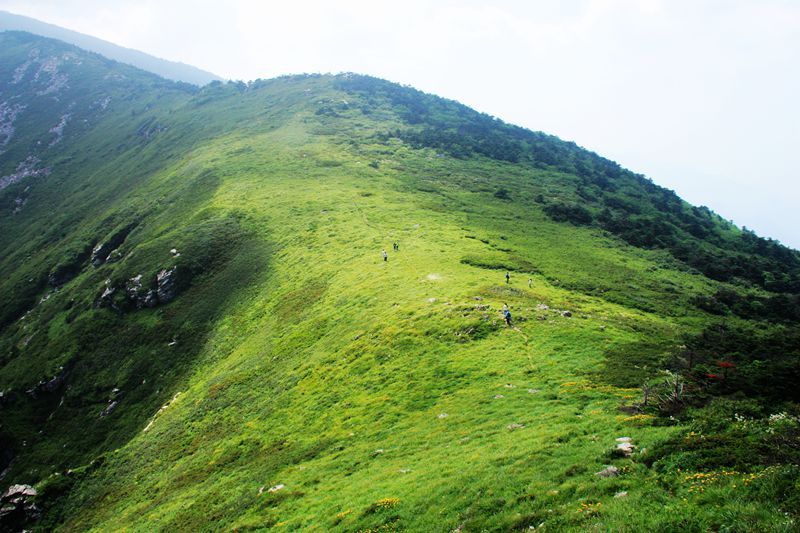 牛背梁森林公园,终南山寨一日游